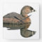 Grebe Bird Wall Clock