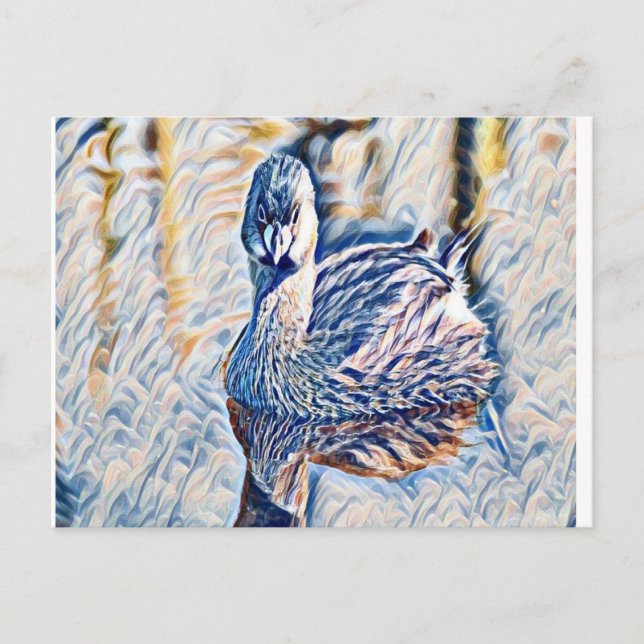 Grebe Postcard (Front)