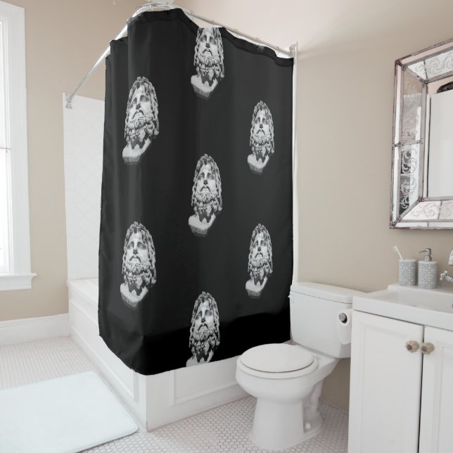 Greco Roman Bust Shower Curtain (In Situ)