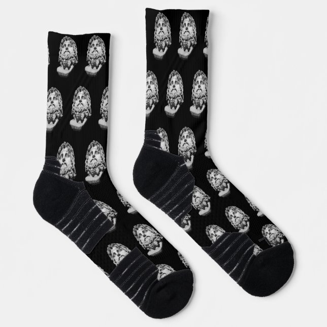 Greco Roman Bust Socks (Right)