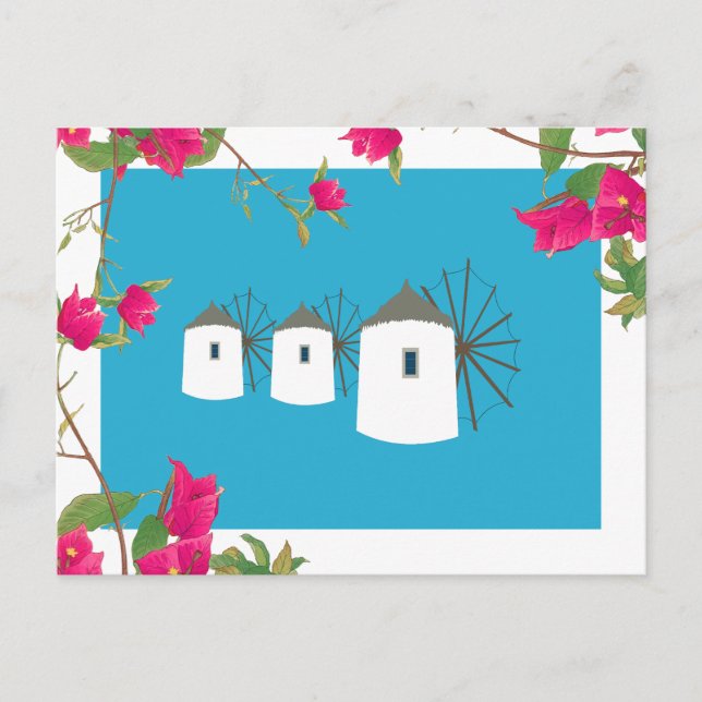 Greece Bougainvillea Greek Island Windmills Holiday Postcard (Front)