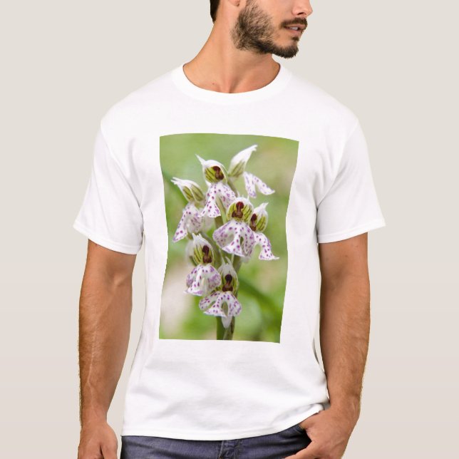 Greece, Crete. Orchid in bloom Orchis T-Shirt (Front)