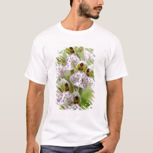 Greece, Crete. Orchid in bloom Orchis T-Shirt
