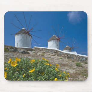 Greece, Cyclades Islands, Mykonos, Flowers near Mouse Mat
