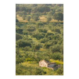 GREECE, Ionian Islands, KEFALONIA, Havriata: Photo Print