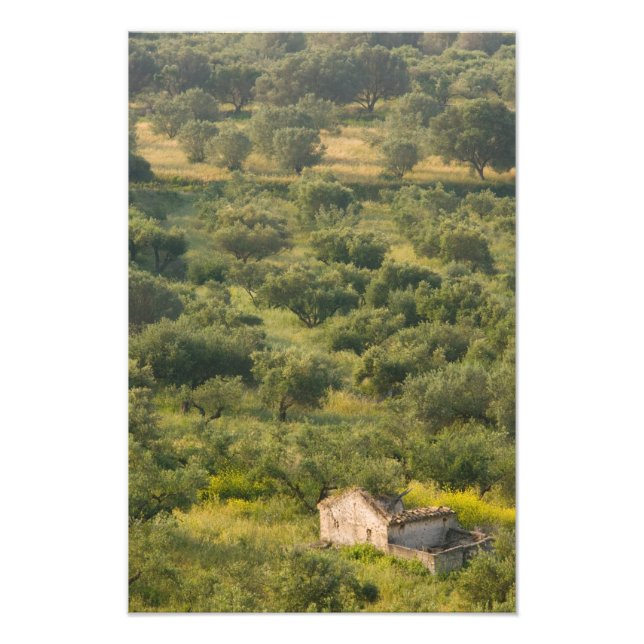 GREECE, Ionian Islands, KEFALONIA, Havriata: Photo Print (Front)