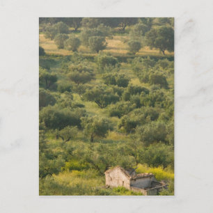 GREECE, Ionian Islands, KEFALONIA, Havriata: Postcard