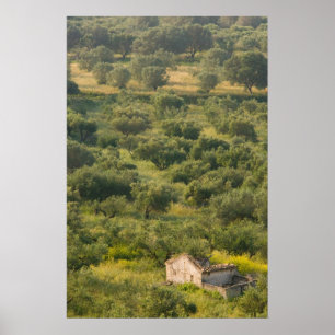 GREECE, Ionian Islands, KEFALONIA, Havriata: Poster