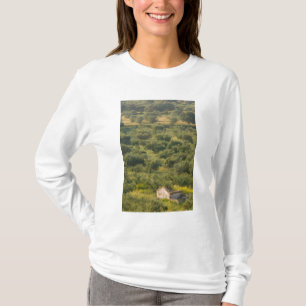 GREECE, Ionian Islands, KEFALONIA, Havriata: T-Shirt