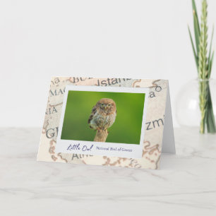 Greece Little Brown Owl Bird Emblem on Map Card