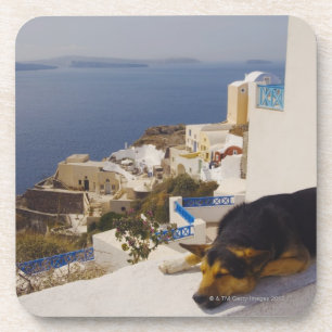 Greece, Santorini Island, Oia City, dog sleeping Coaster