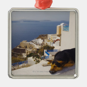 Greece, Santorini Island, Oia City, dog sleeping Metal Tree Decoration