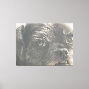 Greedo Watches Canvas Print