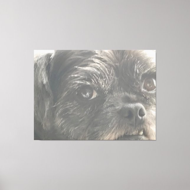 Greedo Watches Canvas Print (Front)