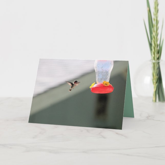 Greedy little  fellow card (Front)