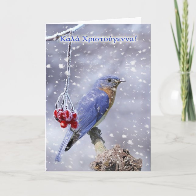 Greek - Blue Bird Christmas Greeting Card (Front)