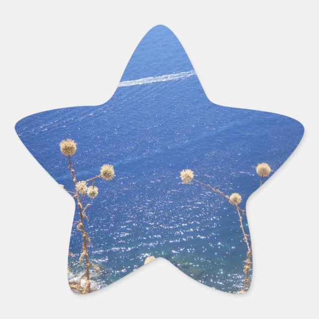 Greek Blue Sea  Star Sticker (Front)