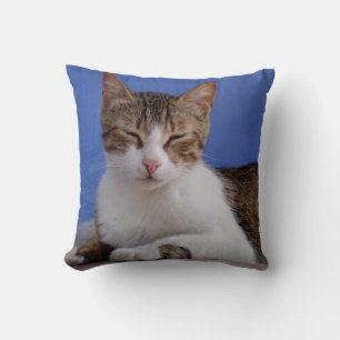 Greek Cat Pillow