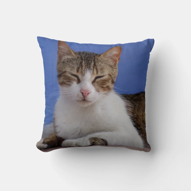 Greek Cat Pillow (Front)