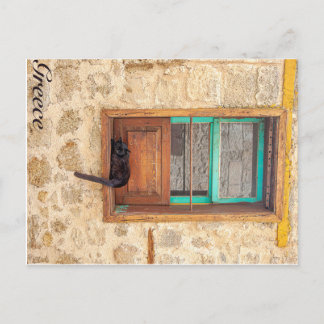 Greek cat postcard