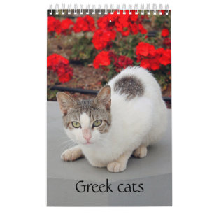 Greek cats - snapshots of the little companions calendar
