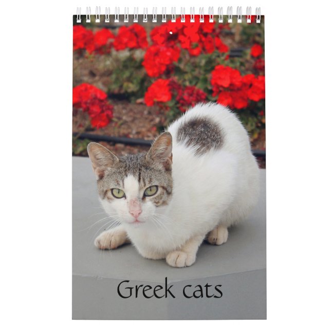 Greek cats - snapshots of the little companions calendar (Cover)