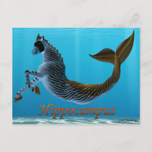 Greek Mythology Postcards: Hippocampus Postcard