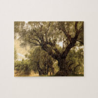 Greek Olive Grove