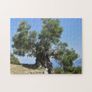 Greek Olive Tree (Kefalonia) Jigsaw Puzzle