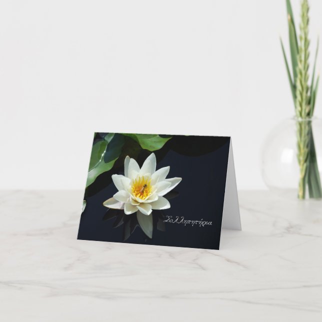 Greek sympathy card with white waterlily (Front)