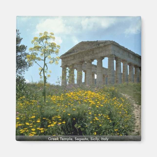Greek Temple, Segesta, Sicily, Italy Magnet (Front)