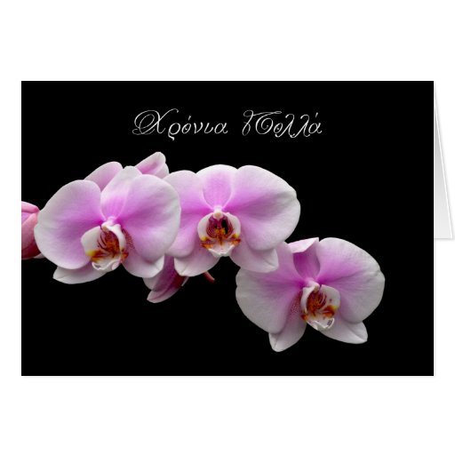 Image of greek watercolour orchids hronia polla copy.jpg