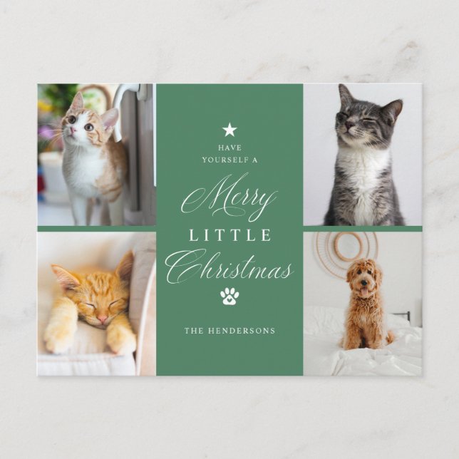 Green 4 Photo Pet Holiday Postcard (Front)