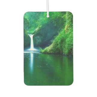 Green Abstract Moss Texture iPhone Case Car Air Freshener