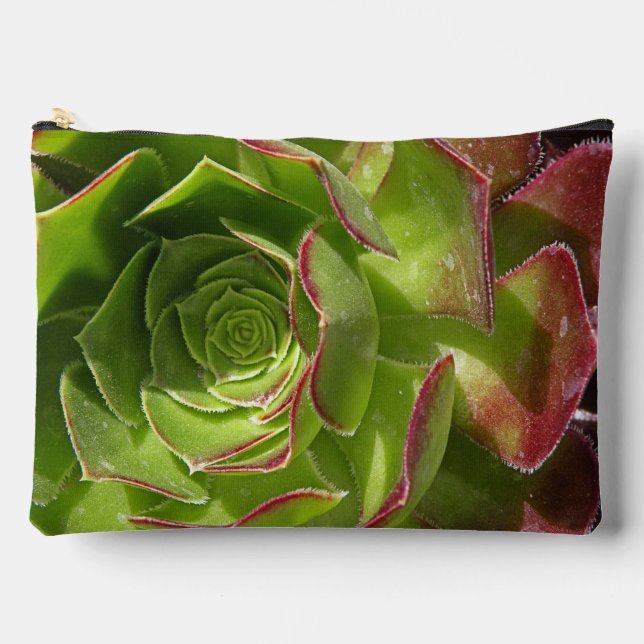 Green Accessory Pouch (Front)