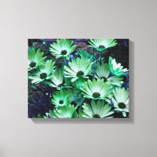 Green African Daisies Abstract Flower  Canvas Print