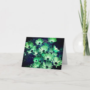 Green African Daisy Flowers Note Card