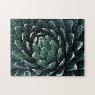Green Agave Jigsaw Puzzle