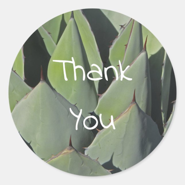 Green Agave Leaves Botanical Photo Southwest Classic Round Sticker (Front)