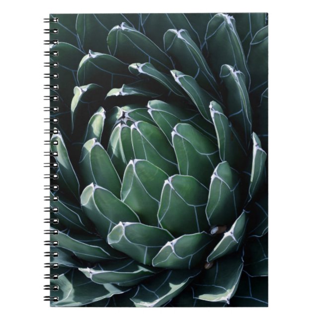 Green Agave Notebook (Front)