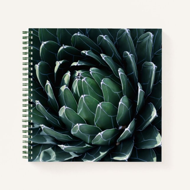 Green Agave Notebook (Front)