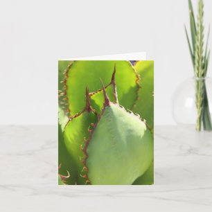 Green agave notecard