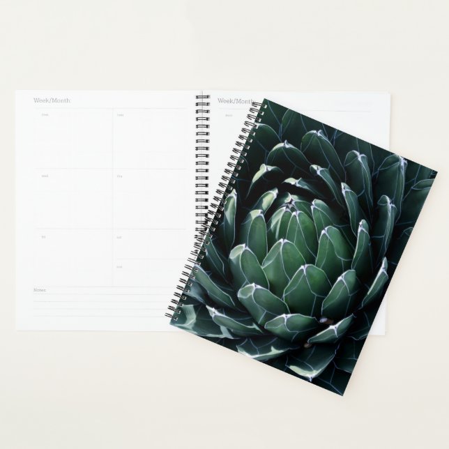 Green Agave Planner (Display)