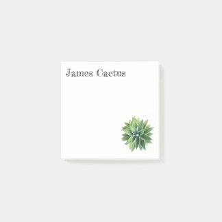 Green Agave Succulent Post-It Notes