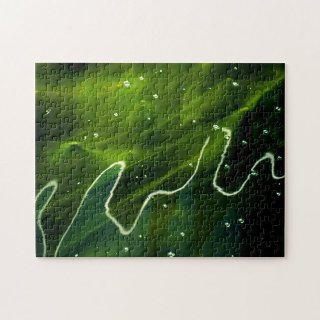 Green Algae and Water 11x14 252pc jpcna Jigsaw Puzzle (Horizontal)