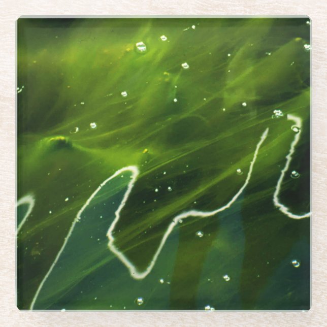 Green Algae and Water coastercnm Glass Coaster (Front)