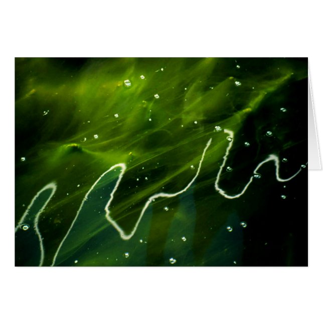 Green Algae and Water gccna (Front Horizontal)