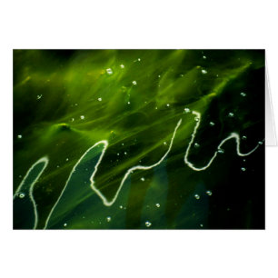 Green Algae and Water gccnm