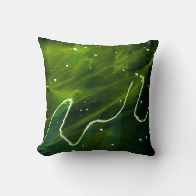 Green Algae and Water tpcnm Cushion (Front)