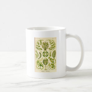 Green Algae Mug